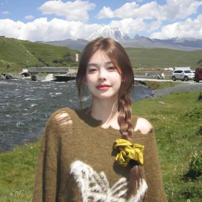美国豚鼠2：血腥冲击